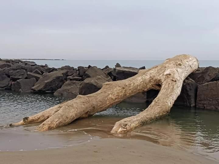Casa Flora Appartamento Con Giardino Φιουμιτσίνο Εξωτερικό φωτογραφία